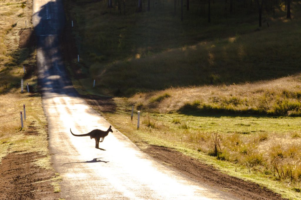 Start thinking about your next holiday in Australia